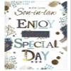 Simon Elvin Birthday Card for Son-in-Law, Male Scene, 23 cm x 15.5 cm E view 1