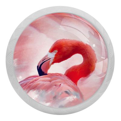Flamongo Round Crystal Glass Cabinet Knobs, 4-Piece Set