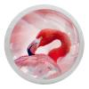 Flamongo Round Crystal Glass Cabinet Knobs, 4-Piece Set view 1