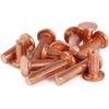 20 Purple Copper Rivets, Flat Head, M6 x 12 mm view 1