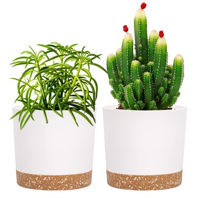 QCQHDU 2-Pack 5-Inch Plant Pots with Drainage Holes and Saucers, White