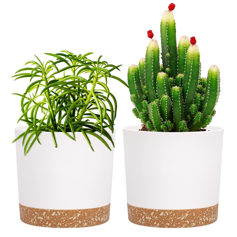 QCQHDU 2-Pack 5-Inch Plant Pots with Drainage Holes and Saucers, White