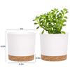 QCQHDU 2-Pack 5-Inch Plant Pots with Drainage Holes and Saucers, White view 2