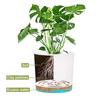 QCQHDU 2-Pack 5-Inch Plant Pots with Drainage Holes and Saucers, White view 4