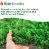QIAOH Artificial Hedge Plant Wall, 24 Pieces, Artificial Boxwood Panels with UV Protection for Indoor and Outdoor Use, Fence Privacy Screen, Grass Wall, Green Background view 4