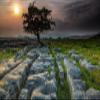 LHJOYSP 1,000-Piece Puzzle, Natural Beauty, England, Yorkshire Dales, 75 x 50 cm view 1