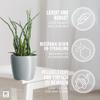PECZEKO Glossy Flower Pots - Decorative Planters for Flowers & Herbs - Durable, Lightweight Round Plastic Plant Pots for Living Room, Dining Room, Kitchen, Terrace & Balcony - 2-Piece Set - Gray, 13 cm view 3