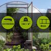 Löffert Greenhouse Panels | 4–10 mm | UV-Resistant | 8 mm, 590 × 1000 mm view 4