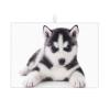 Microfiber Dish Drying Mat with Dog Design, 45.7 x 61 cm view 1
