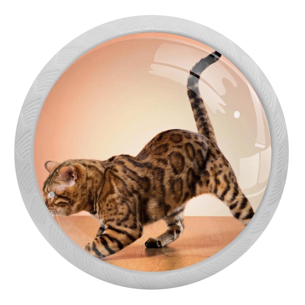 4-Pack Brown Cabinet Knobs with Glow-in-the-Dark Crystal Glass