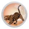 4-Pack Brown Cabinet Knobs with Glow-in-the-Dark Crystal Glass view 1