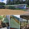 Dunan Camouflage Net for Hunting, Privacy, Camping, Garden & Sun Protection (3m × 3m / 6.56ft × 9.84ft) view 3