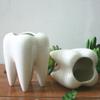 FOMIYES White Ceramic Tooth-Shaped Flower Pots for Desk Decor view 4