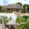 LPLND Artificial Palm Thatch Roofing Roll, 0.5 x 1 m, Fire-Retardant (Size: 1 m, Color: 3#) view 4