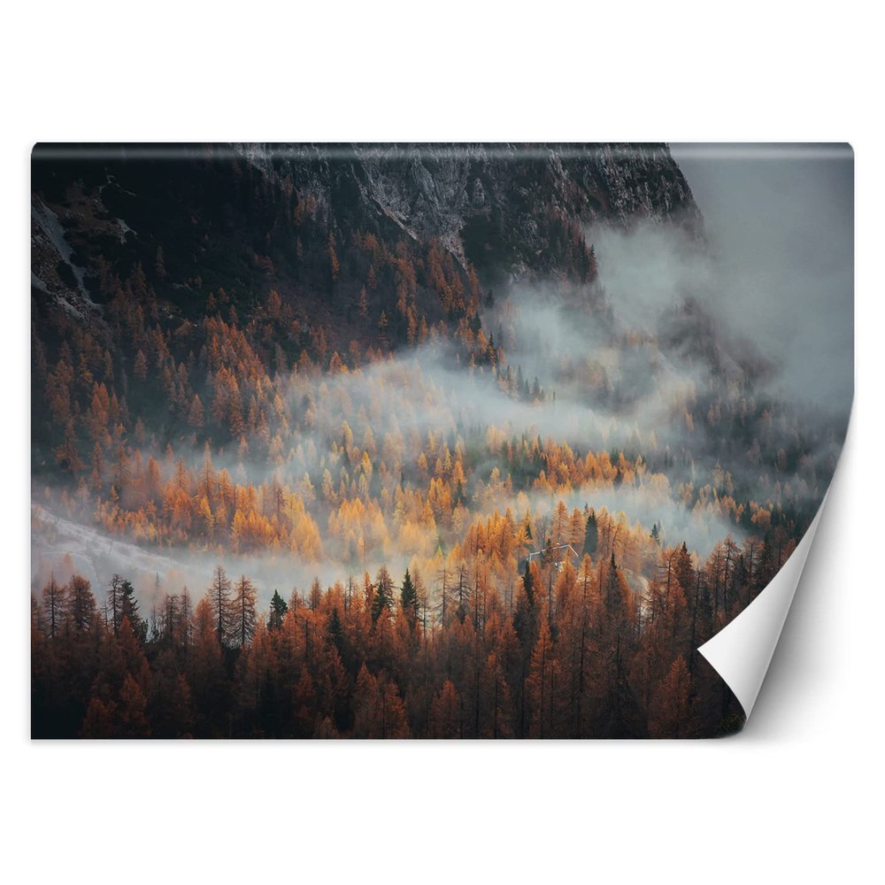 Feeby Forest in Fog Photo Wallpaper 200 x 140 cm Orange XXL Nonwoven Wall Mural