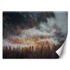 Feeby Forest in Fog Photo Wallpaper 200 x 140 cm Orange XXL Nonwoven Wall Mural view 1