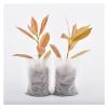 FHYTGBS Nonwoven Fabric Nursery Plant Grow Bags - Small Seedling Planter Bags, Garden Ventilation Bags (12 x 15 cm, 100 pcs) view 4