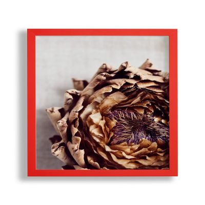Vogel Design Benno Wooden Frame for 60 x 90 cm Picture, Red, with Acrylic Glass