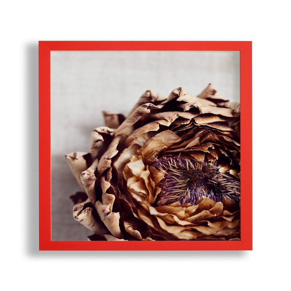 Vogel Design Benno Wooden Frame for 60 x 90 cm Picture, Red, with Acrylic Glass