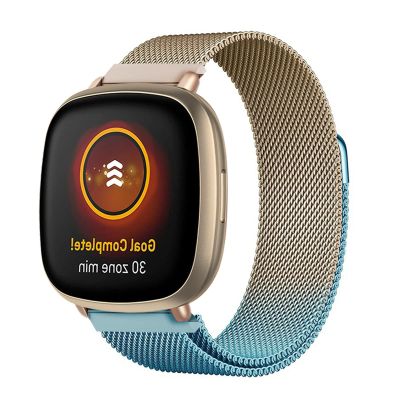 Metal Mesh Band Compatible with Fitbit Versa 3, Sense, Versa 2, Versa and Versa Lite