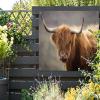 MuchoWow Outdoor Garden Poster, 120 x 80 cm, Scottish Highlander Light Portrait view 2