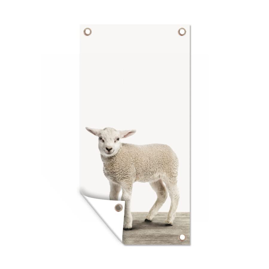 Outdoor Poster, Garden Wall Decor, 80 x 160 cm, Lamb and Sheep
