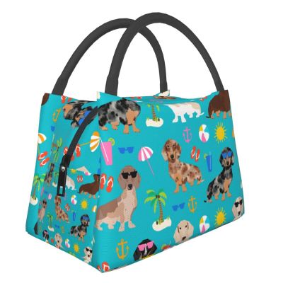 AABSTBFM Insulated Dachshund Lunch Bag for Men and Women, Foldable