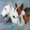 5D Full Drill Diamond Painting Puppy Kit, 30 x 40 cm (12 x 16 in) view 1