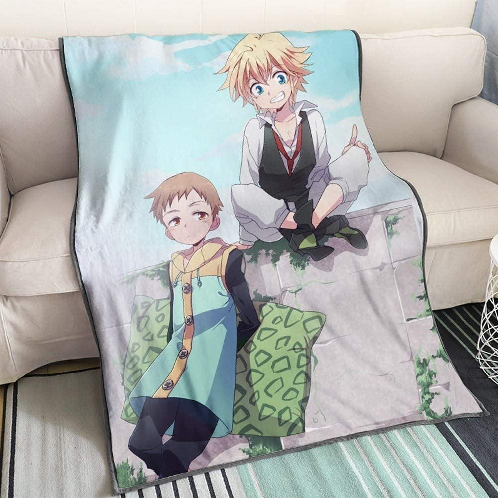 The Seven Deadly Sins King and Meliodas Against the Wall 3D Printed Flannel Micro-Fleece Blanket