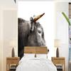 Photo Wallpaper Wall Decor 165 x 220 cm Scottish Highlander - Gold - Black view 1