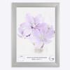 Online-GalleryKing OGK Thirtyfive Picture Frame 17 x 27 cm, Matte Silver, MDF Wood Frame, Anti-Reflective Acrylic Glazing and HDF Backing view 1