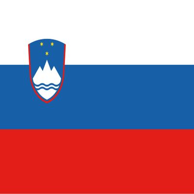 Tin Sign 20 x 30 cm Slovenia Europe Flag National Flag Wall Decor