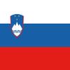 Tin Sign 20 x 30 cm Slovenia Europe Flag National Flag Wall Decor view 1