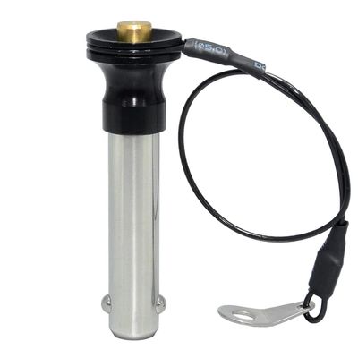 Stainless Steel Quick-Release Positioning Pin, M16 × 95 mm