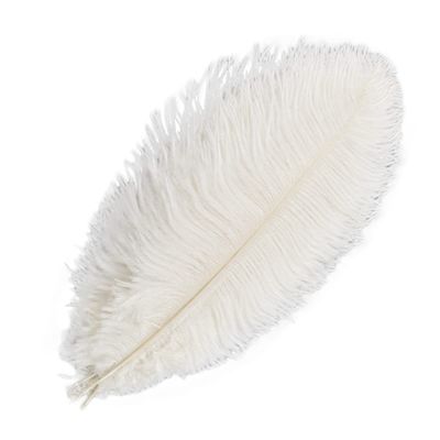 Cozylkx 10-Piece Colored Ostrich Feathers, White, 22–24 in