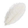 Cozylkx 10-Piece Colored Ostrich Feathers, White, 22–24 in view 1