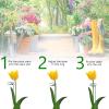 Thealyn Plant Supports, 45.7 cm, 20-Pack Single-Stem Supports view 4
