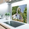 MuchoWow Kitchen Splashback Aluminum Poster 90 x 60 cm – Swan, Water, Spring view 2