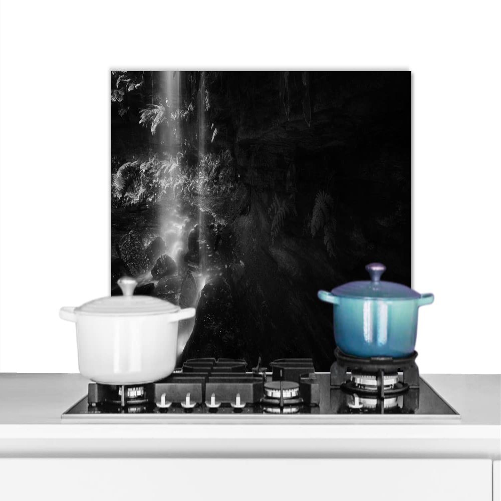 MuchoWow Kitchen Backsplash Aluminum Poster 60x40 cm, Sun Through the Leaves, Black and White, Landscape