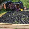 LZMZMQ Gravel Grid for Gardens, Patios and Paths, 5 cm High, 4 m x 6 m view 3