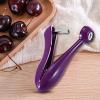 Cherry Pitter view 2