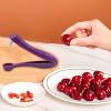 Cherry Pitter view 3