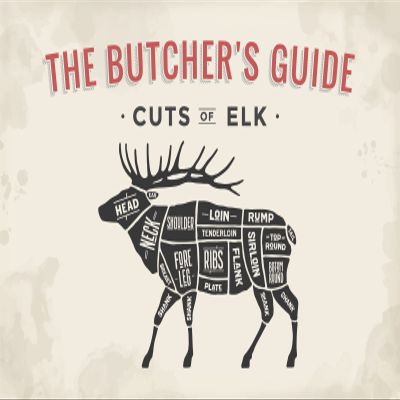Tin Sign 30 x 40 cm – Cuts of Elk