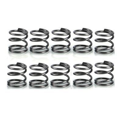 10-Piece Compression Spring Set, Stainless Steel Spiral Extension Springs, 0.9 mm Wire Diameter, 10 mm Outer Diameter, 45 mm Length