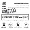 10-Piece Compression Spring Set, Stainless Steel Spiral Extension Springs, 0.9 mm Wire Diameter, 10 mm Outer Diameter, 45 mm Length view 3
