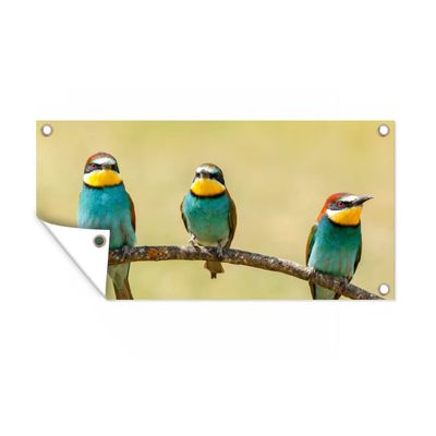 MuchoWow Outdoor Garden Poster, Bee-Eater Birds, 60 x 30 cm