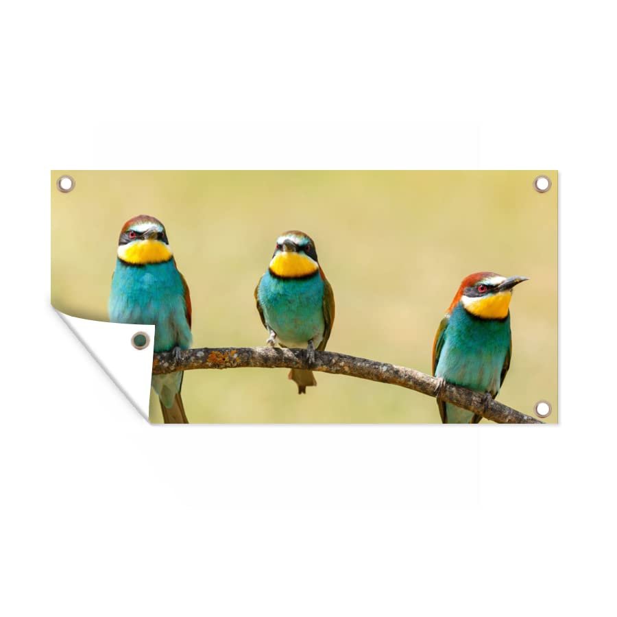 MuchoWow Outdoor Garden Poster, Bee-Eater Birds, 60 x 30 cm
