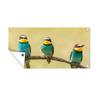 MuchoWow Outdoor Garden Poster, Bee-Eater Birds, 60 x 30 cm view 1