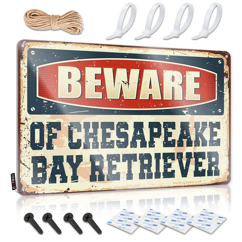 COTECI Mancave Stuff for Men Decor Beware of Chesapeake Bay Retriever Metal Sign for Men (20 x 30 cm)