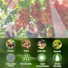 Vegetable Garden Netting, Polyethylene Insect Net, Fine-Mesh Crop Protection Net, Bird Netting, 7 x 12 m, 40 Mesh view 3